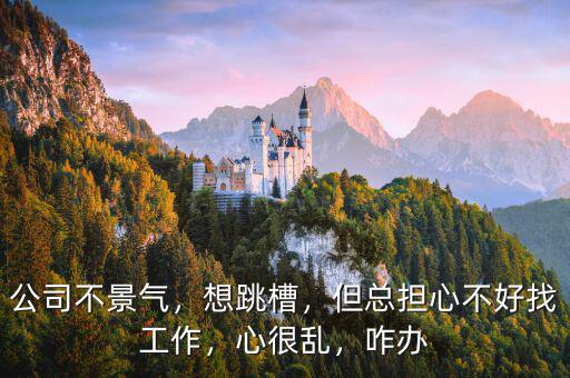 公司不景氣，想跳槽，但總擔(dān)心不好找工作，心很亂，咋辦