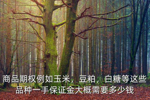 商品期權(quán)例如玉米，豆粕，白糖等這些品種一手保證金大概需要多少錢