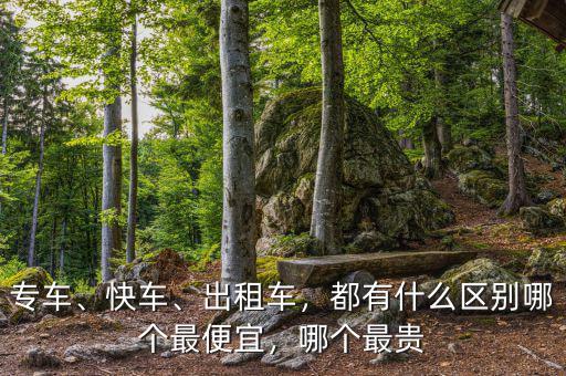專車、快車、出租車，都有什么區(qū)別哪個(gè)最便宜，哪個(gè)最貴
