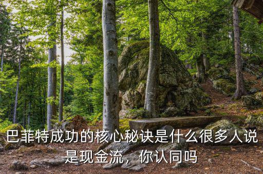 巴菲特成功的核心秘訣是什么很多人說(shuō)是現(xiàn)金流，你認(rèn)同嗎
