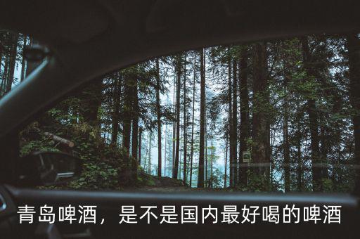 青島啤酒，是不是國(guó)內(nèi)最好喝的啤酒