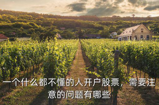 一個什么都不懂的人開戶股票，需要注意的問題有哪些