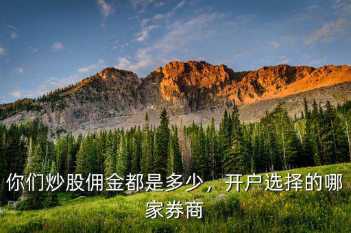 你們炒股傭金都是多少，開(kāi)戶選擇的哪家券商