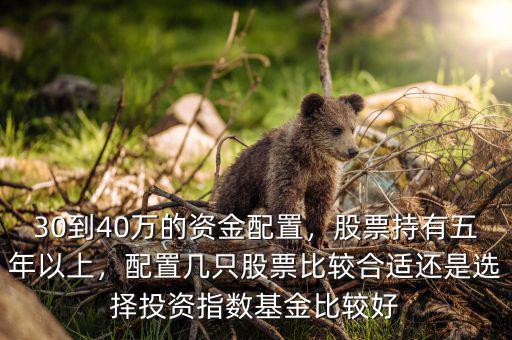30到40萬(wàn)的資金配置，股票持有五年以上，配置幾只股票比較合適還是選擇投資指數(shù)基金比較好