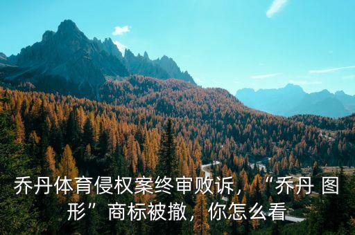 喬丹體育侵權(quán)案終審敗訴，“喬丹 圖形”商標被撤，你怎么看