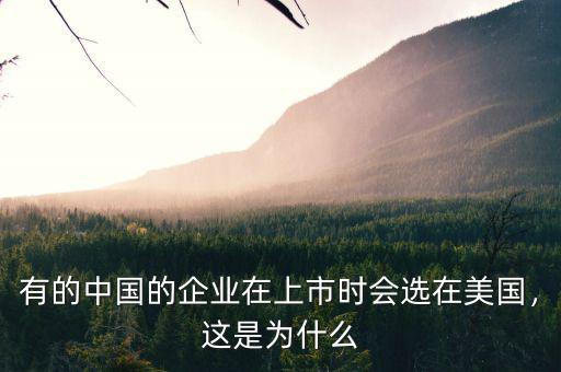 有的中國的企業(yè)在上市時會選在美國，這是為什么