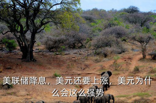 美聯儲降息，美元還要上漲，美元為什么會這么強勢
