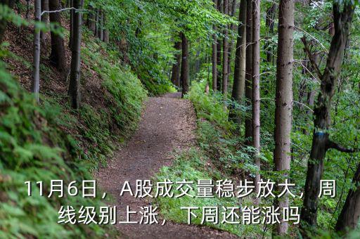 11月6日，A股成交量穩(wěn)步放大，周線級(jí)別上漲，下周還能漲嗎