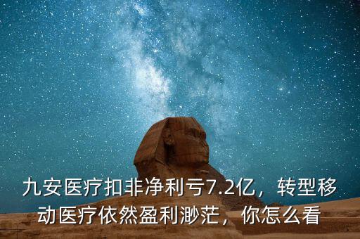 九安醫(yī)療扣非凈利虧7.2億，轉(zhuǎn)型移動(dòng)醫(yī)療依然盈利渺茫，你怎么看