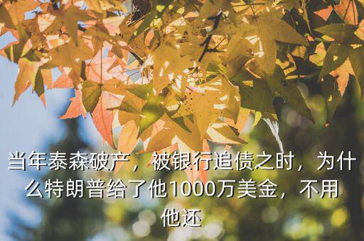當(dāng)年泰森破產(chǎn)，被銀行追債之時，為什么特朗普給了他1000萬美金，不用他還