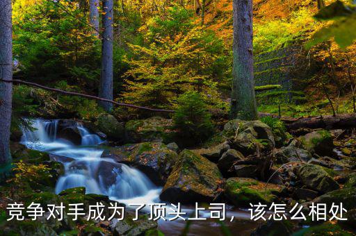 競(jìng)爭(zhēng)對(duì)手成為了頂頭上司，該怎么相處