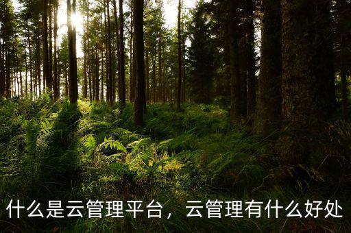 什么是云管理平臺，云管理有什么好處