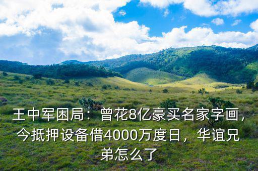 王中軍困局：曾花8億豪買名家字畫，今抵押設(shè)備借4000萬度日，華誼兄弟怎么了