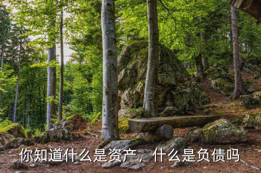 你知道什么是資產(chǎn)，什么是負債嗎