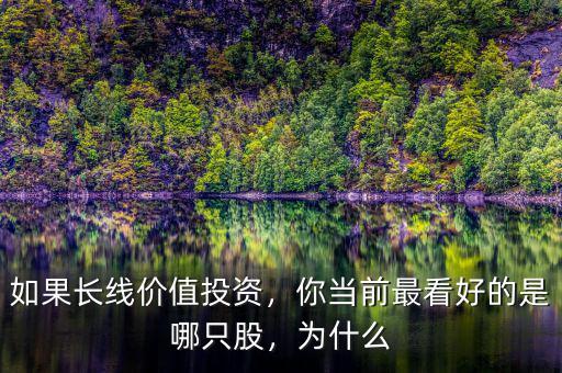 如果長線價值投資，你當前最看好的是哪只股，為什么