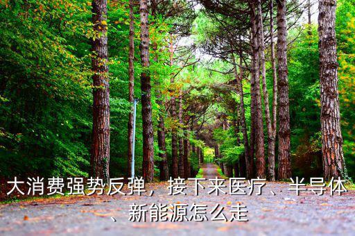 大消費(fèi)強(qiáng)勢(shì)反彈，接下來(lái)醫(yī)療、半導(dǎo)體、新能源怎么走
