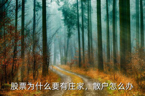股票為什么要有莊家，散戶怎么辦