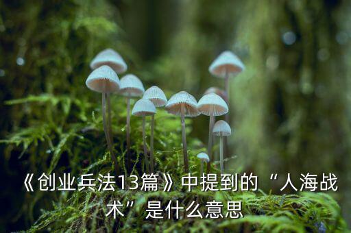 《創(chuàng)業(yè)兵法13篇》中提到的“人海戰(zhàn)術”是什么意思
