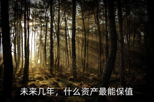 未來幾年，什么資產(chǎn)最能保值