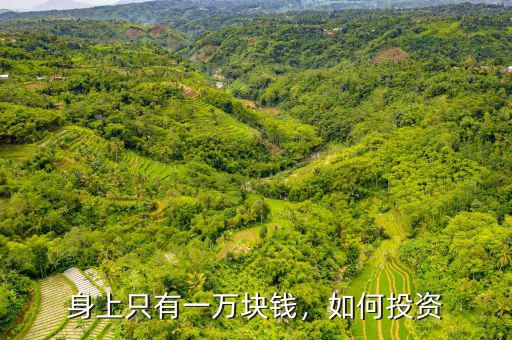 身上只有一萬塊錢，如何投資