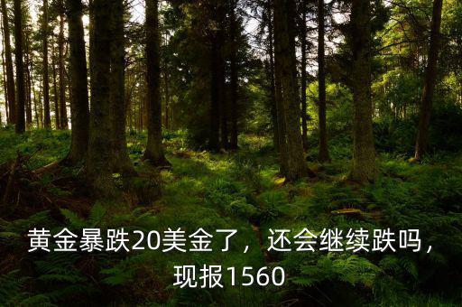 黃金暴跌20美金了，還會(huì)繼續(xù)跌嗎，現(xiàn)報(bào)1560