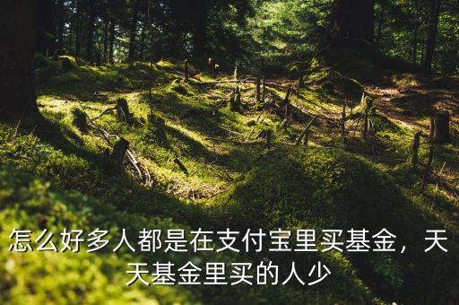 怎么好多人都是在支付寶里買基金，天天基金里買的人少