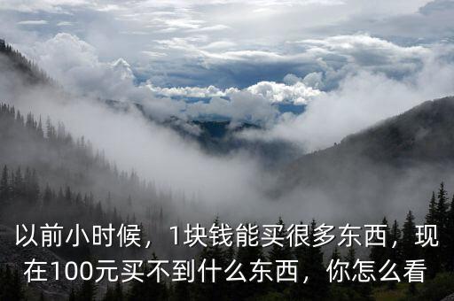 以前小時(shí)候，1塊錢(qián)能買(mǎi)很多東西，現(xiàn)在100元買(mǎi)不到什么東西，你怎么看