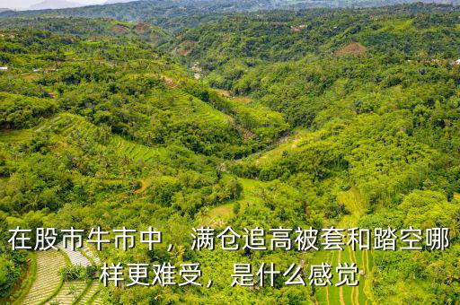 在股市牛市中，滿倉追高被套和踏空哪樣更難受，是什么感覺