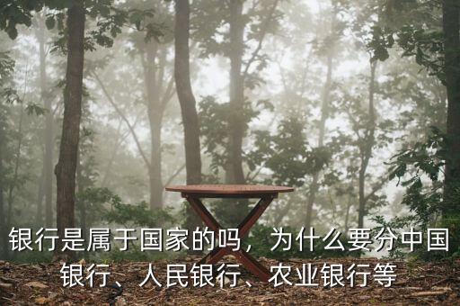 銀行是屬于國(guó)家的嗎，為什么要分中國(guó)銀行、人民銀行、農(nóng)業(yè)銀行等