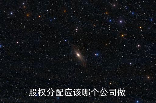 股權(quán)分配應該哪個公司做