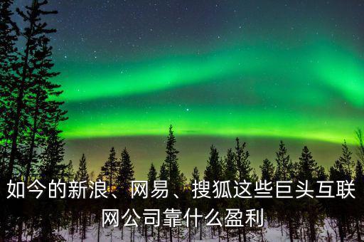 如今的新浪、網(wǎng)易、搜狐這些巨頭互聯(lián)網(wǎng)公司靠什么盈利