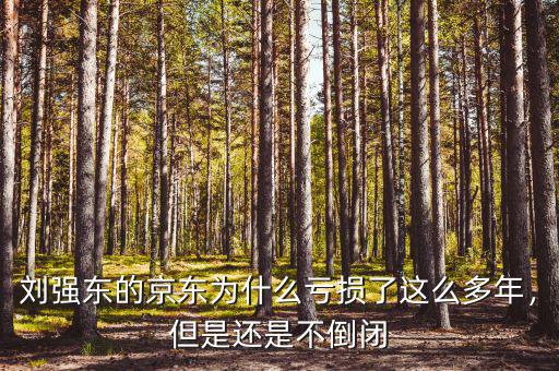劉強(qiáng)東的京東為什么虧損了這么多年，但是還是不倒閉