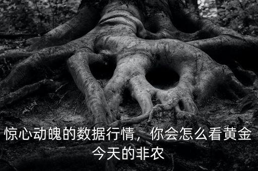 驚心動(dòng)魄的數(shù)據(jù)行情，你會(huì)怎么看黃金今天的非農(nóng)