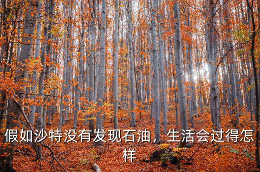 假如中國沒有發(fā)現油田會怎么樣,會有什么不同