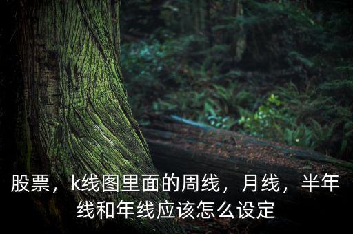 股票，k線圖里面的周線，月線，半年線和年線應(yīng)該怎么設(shè)定