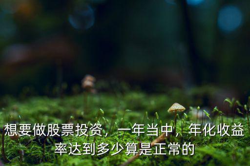 想要做股票投資，一年當(dāng)中，年化收益率達(dá)到多少算是正常的