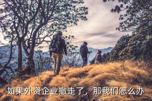 如果外資企業(yè)撤走了，那我們怎么辦