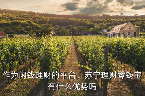 作為閑錢理財?shù)钠脚_，蘇寧理財零錢寶有什么優(yōu)勢嗎