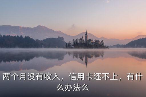 兩個月沒有收入，信用卡還不上，有什么辦法么