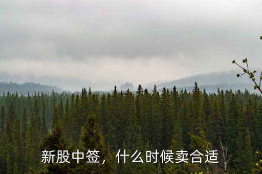新股中簽，什么時(shí)候賣合適