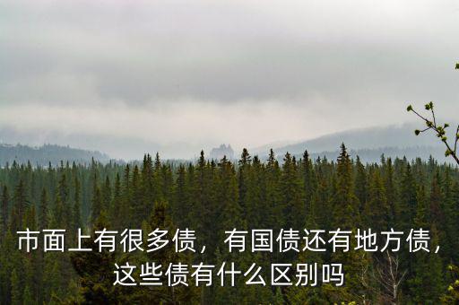 市面上有很多債，有國債還有地方債，這些債有什么區(qū)別嗎