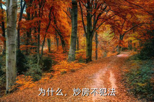 為什么，炒房不犯法