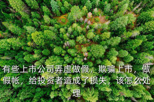 有些上市公司弄虛做假，欺騙上市，做假帳，給投資者造成了損失，該怎么處理