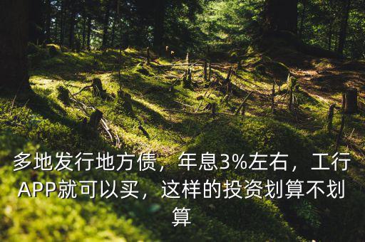 多地發(fā)行地方債，年息3%左右，工行APP就可以買，這樣的投資劃算不劃算