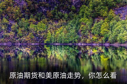 原油期貨和美原油走勢，你怎么看