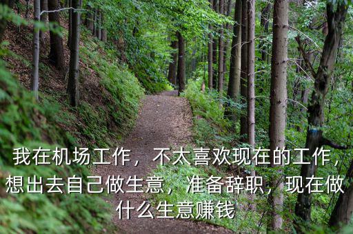 我在機場工作，不太喜歡現(xiàn)在的工作，想出去自己做生意，準(zhǔn)備辭職，現(xiàn)在做什么生意賺錢