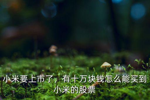 小米要上市了，有十萬(wàn)塊錢(qián)怎么能買(mǎi)到小米的股票