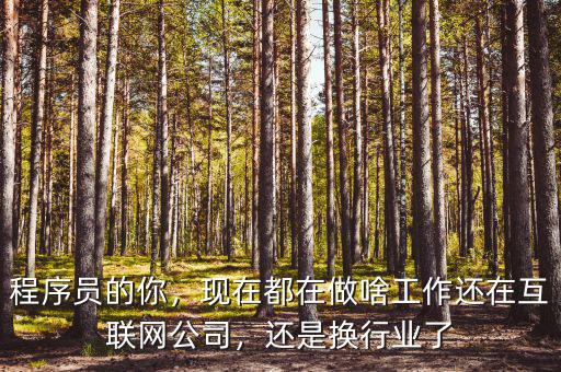 程序員的你，現(xiàn)在都在做啥工作還在互聯(lián)網(wǎng)公司，還是換行業(yè)了
