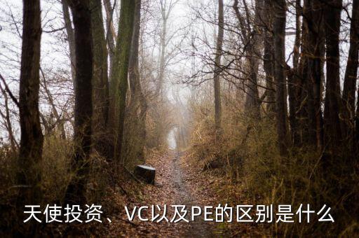 天使投資、VC以及PE的區(qū)別是什么