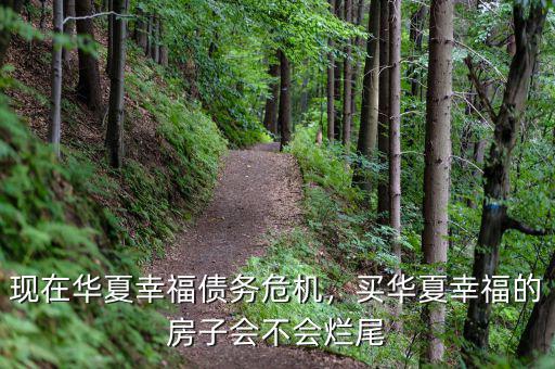 現(xiàn)在華夏幸福債務(wù)危機(jī)，買華夏幸福的房子會(huì)不會(huì)爛尾